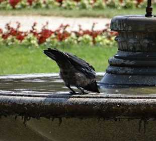 In der Parkanlage vor dem Zoo