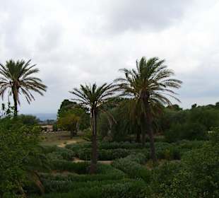I giardini
