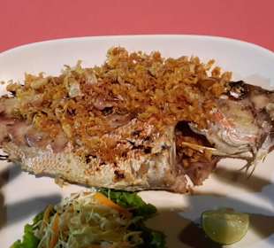 Gegrillter Red Snapper