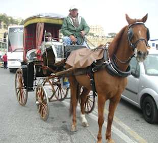 Stadtrundfahrt mit Kutsche