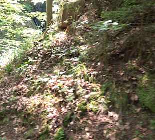 Teufelskanzelsteig Bad Griesbach