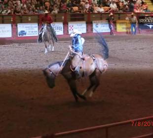 Rodeo Stock Yards