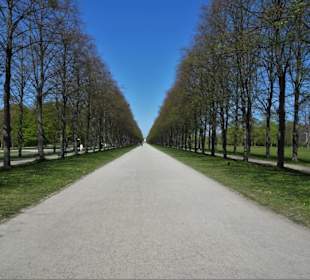 Die Herrenhäuser Allee im Georgengarten