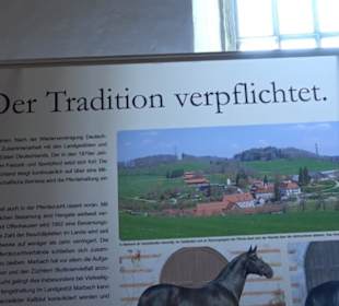 Gestütsmuseum Offenhausen