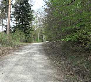 Walderlebnisweg Rottenburg