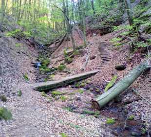Naturdenkmal Elendsklamm in Landstuhl