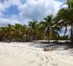 Schnorcheln Isla Catalina