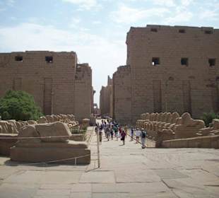 Tagesausflug nach Luxor
