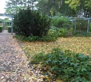 Karl-Foerster-Garten