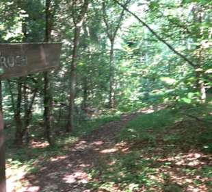 Premiumwanderweg "hochgesprudelt"