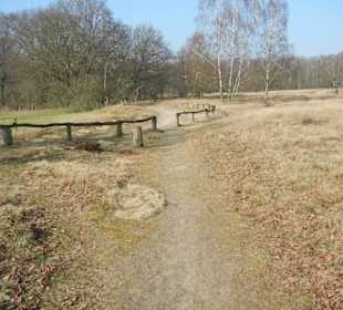 Wunderschöne Boberger Niederung