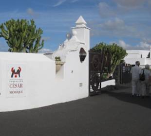 Fundacion Cesar Manrique