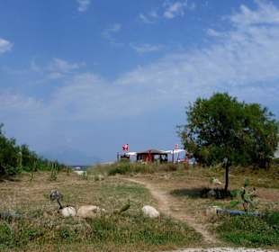 Strandimpressionen 2009 (2)