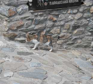 Ausflug griechisches Dorf in den Bergen