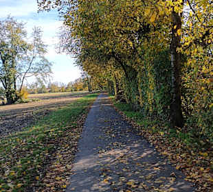 Am Hartlbach entlang