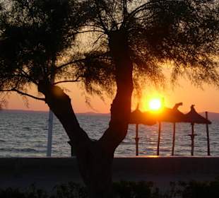 Sonnenuntergang am Ballermann 5
