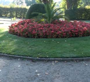 Botanischer Garten