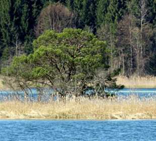 Am Fohnsee / Ostersee