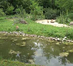 Tierpark Hellabrunn - Welt der Affen