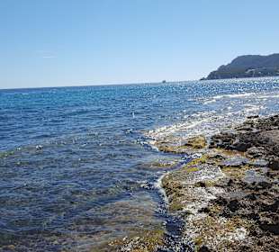 Strand Paguera/Peguera