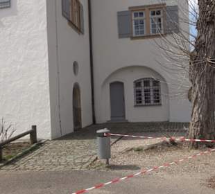 Freihof