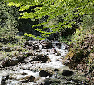 Die Schneeschmelze sorgt für volle Bäche