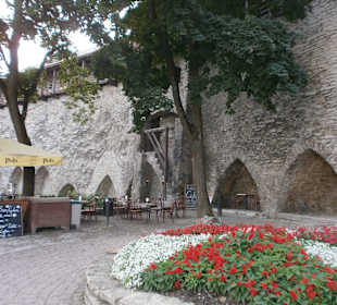 Сад датского короля