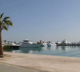 Hafen mit tollen Jachten