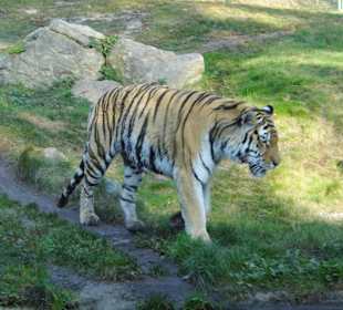 WP LH Herbst Impression