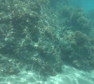 Glasbodenboot Tour Lindos