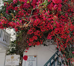 Altstadt Mykonos Stadt
