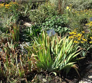 Klosterkirche Maria Gnadenzell