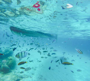 Schnorcheltour mit Jebat