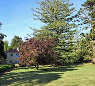 Eindrücke vom Rundgang durch Blandy´s Garden