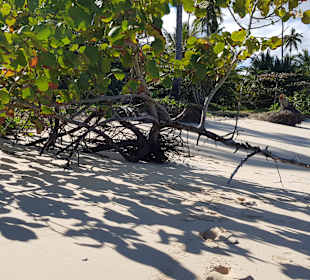 Strand Playa Rincon