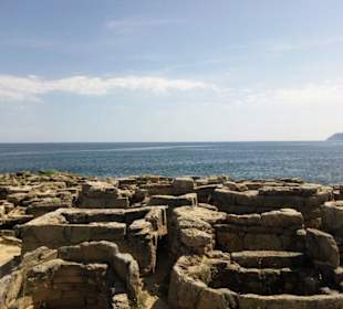 Natural parc S'Albufera