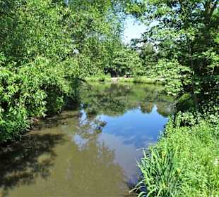 Eindrücke vom Eppendorfer Mühlenteich
