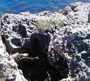 Nissi Beach / Halbinsel