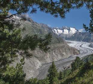 Aletschgletscher