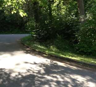 Kurpark Bad Niedernau