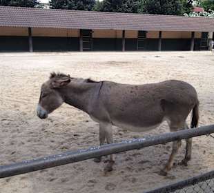 Der wartet auif Feierabend