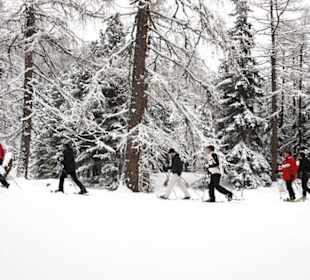 Schneeschuhwandern auf der Turracher Höhe