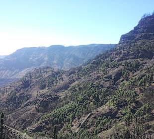 Hier hat es gebrannt