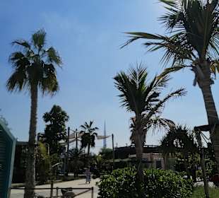Strand La Mer