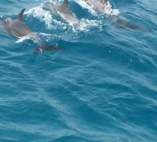 Sun&Fun Reisen und Ausflüge in Ägypten