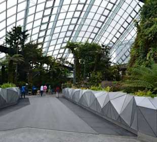 Gardens by the Bay
