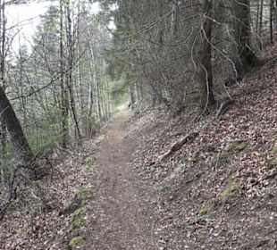 Wanderweg Hochgehswiggert