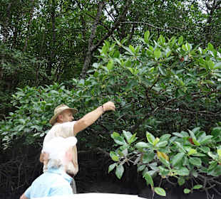 Peter in seinem Element