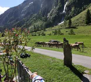 Vom Stilluphaus, im Hintergrund der Wasserfall