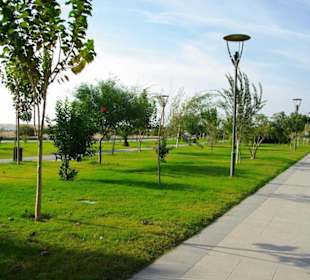 Inspirationen an d.Strandprom.entlang Nov.2010